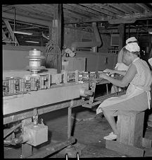 Workers in pickle factory