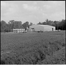 Ayden pesticide plant 