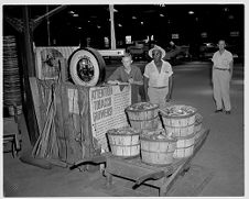 Weighing cucumbers