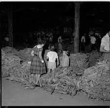 Children with tobacco