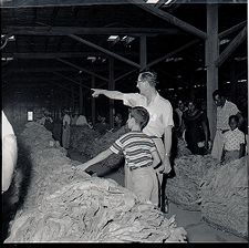 People at tobacco market