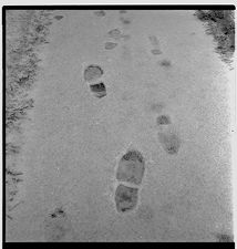 Foot prints in snow