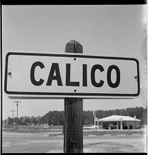 Calico sign