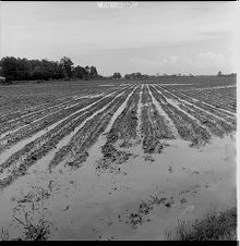 Flooding field