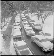 Snow covered cars