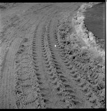 Tire tracks