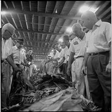 Tobacco bundles