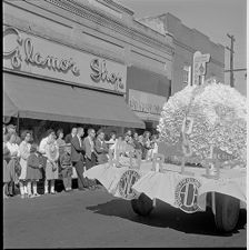 Parade float