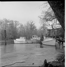 Hardee's Creek frozen