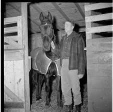 Man leading horse