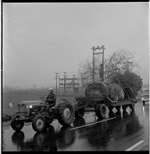 Pulling tree 