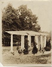 Wilson Pergola