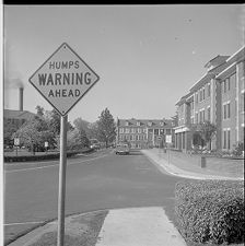 Speed bump sign