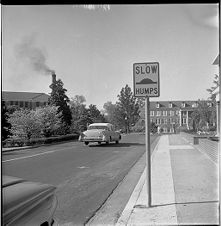 Speed bump sign