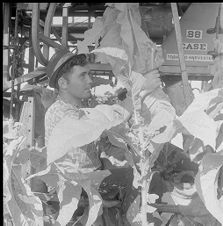 Tobacco harvester 