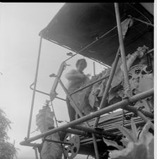 Tobacco harvesting