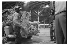 Unloading tobacco