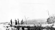 Alice Person on a jasper log