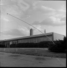 Wind damage