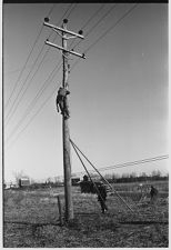 Worker on pole