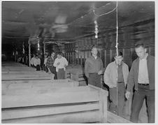 Boys in barn