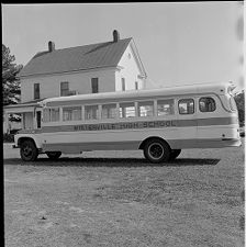 Activity bus 