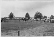 Greenville Horse Show 