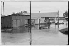 Water surrounding buildings