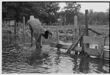 Flooded farm