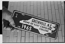 Greenville tag