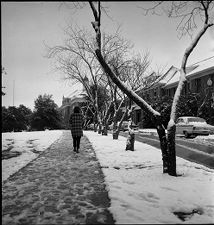 Walking in snow