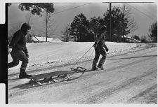 Dragging sleds