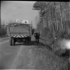 Picking up litter