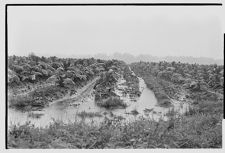 Flooded field