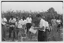 Tobacco demonstration 