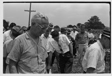 Looking at tobacco