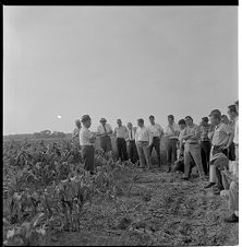 Seed farm visitors 