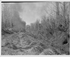 Clearing land 