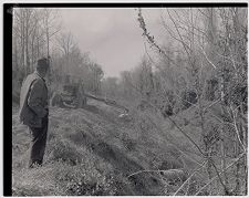 Clearing land 