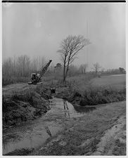 Clearing land 