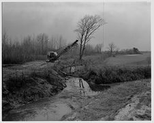 Clearing land 