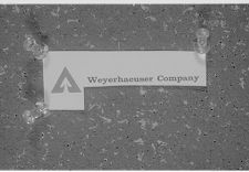 Weyerhaeuser logo