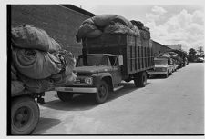 Agricultural tour 