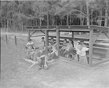 Young boys playing baseball 