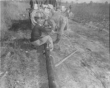 Men putting up electricity poles 