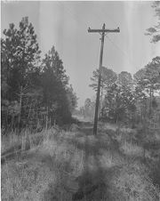 Men putting up electricity poles 