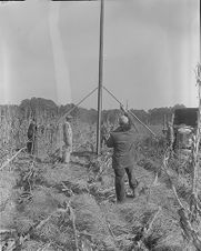 Men putting up electricity poles 