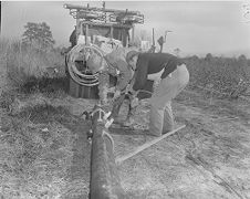 Men putting up electricity poles 