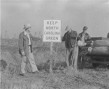 Men planting shrubs 