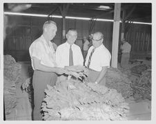 Mayor and others at tobacco warehouse 